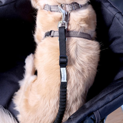Ibiyaya No Shock Bungee Leash Extension/ Stroller Tether - Black/Grey