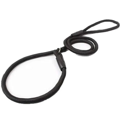 Dog Training Correction Leash Lead Cesar Puppy Pets Millan Slip Nylon Rope 10*140mm - Blue