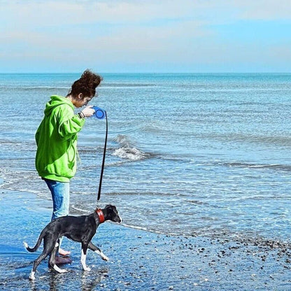 5M Dog Lead Leash Strong Retractable Extendable 5M Lockable Heavy Duty 15Kg - Green