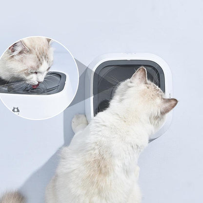 1.5L Pet Water Bowl No-Spill Design Slow Drinking Feeder with Non-Slip Base - Blue